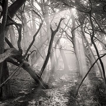 Fall National Juried Exhibition