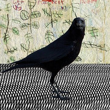 deborah sullivan: Irregularities of Attention