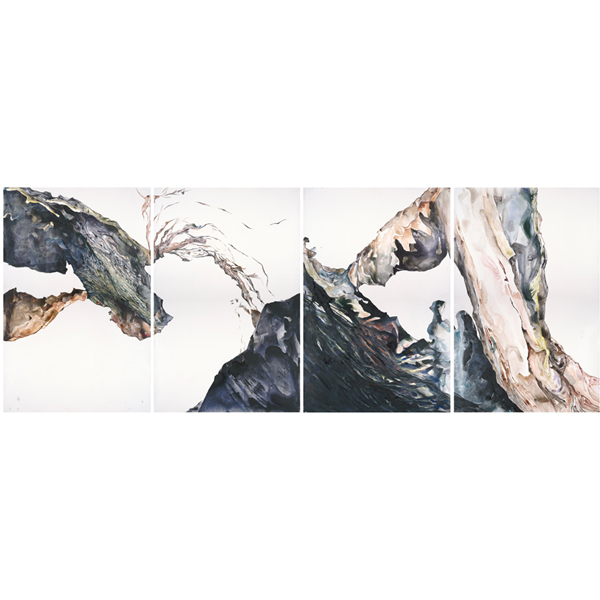 2024 Members Showcase | Rainey Straus: The Old Growth Project