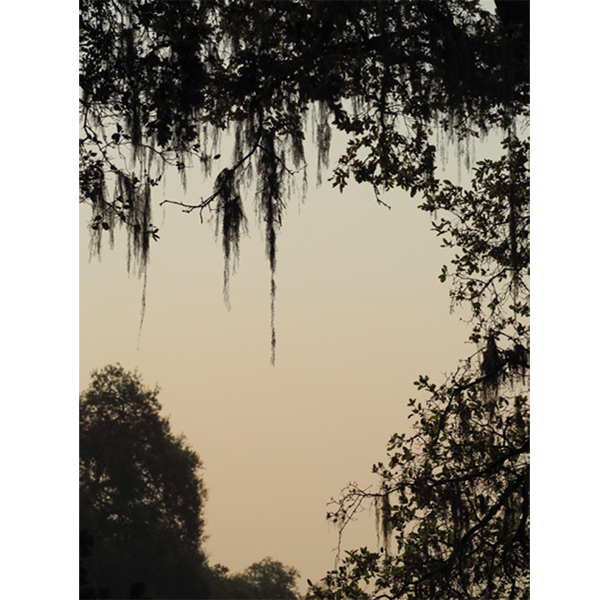 Marion Faymonville : Black River