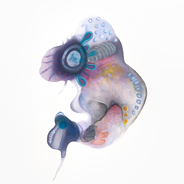 2024 Members Showcase | Nina Temple: The Magic in Fluid Expression